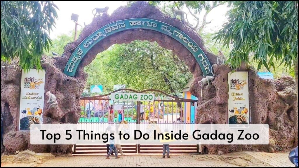 Top 5 Things to Do Inside Gadag Zoo