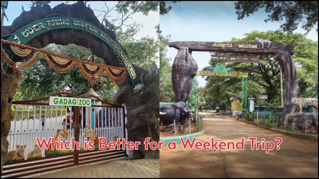 Gadag Zoo vs. Mysuru Zoo