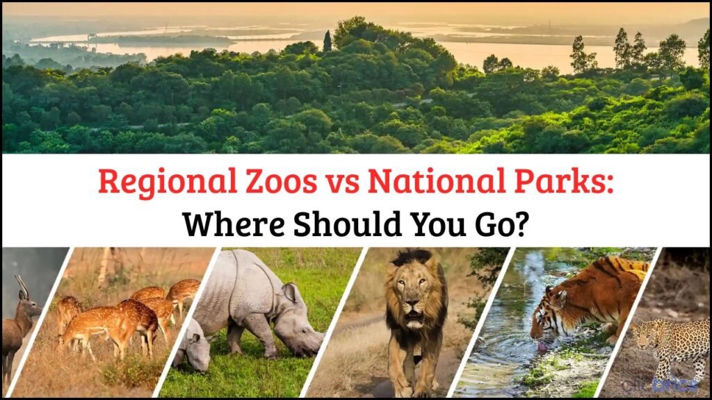 Regional Zoos vs National Parks